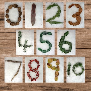 Cartões numéricos da Natureza do Inverno 0-10 para impressão EYFS recurso Montessori inspirado em Reggio