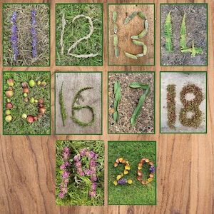 Natuurnummerkaarten 11-20 afdrukbare EYFS-reggio montessori geïnspireerde download van natuurlijke hulpbronnen uit vroege jaren