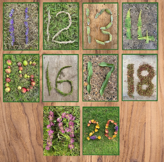 Nature Number Cards Nature Number Cards