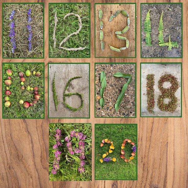 Nature number cards 11-20 printable EYFS natural resource reggio montessori inspired early years download