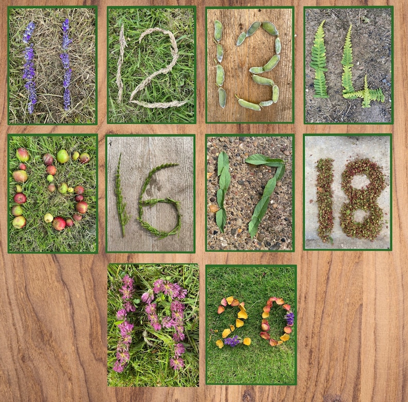 nature number cards 11 20 printable eyfs natural resource