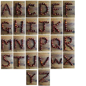 Cartes de l'alphabet Nature Conker en majuscules automne automne imprimable en téléchargement numérique Ressource naturelle de la petite enfance Images de l'alphabet pour enfants de l'EYFS