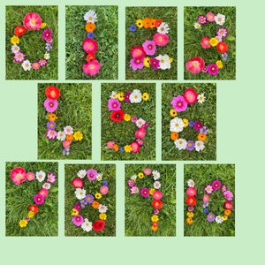 Cartes numérotées de fleur nature 0-10 ressource EYFS imprimable inspirée de Montesssori Reggio