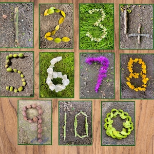 Carte numeriche sulla natura da 0 a 10 stampabili Risorsa EYFS ispirata a Montessori Reggio