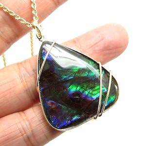 May include: A gold chain necklace with a teardrop-shaped pendant featuring a iridescent ammolite gemstone wrapped in gold wire.