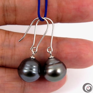 12.7*13.0mm CIRCLED DROP Genuine Tahitian Pearl Claccic Hook Dangle Earrings, 925 Sterling Silver #SE352