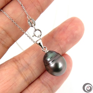 Selectable 12-12.7mm  Natural Peacock Genuine TAHITIAN Pearl Pendant / 925 Sterling Silver #SP1388