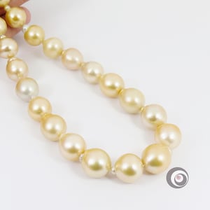 Massive Genuine South Sea Pearl Strand / Natural Color Seawater pearl necklace / 12-14.5mm / Choose Your Clasp #F727