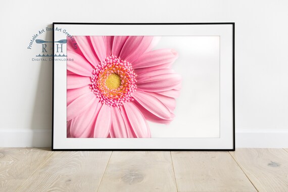 Pink Daisy Print Gerber Daisy Wall Art Gerbera Print Floral Etsy