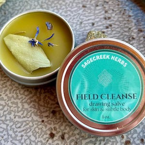 Organic Herbal Drawing Salve | Plantain & Yarrow Herbal Balm | Bentonite + Amethyst | Skin Soother + Energy Cleanser | 1 oz Tin