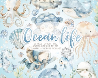 Watercolor Ocean Life cliparts, Under the Sea Clipart Bundle, Ocean Nursery, Nautical Clipart, Sea Animals, Whale, Turtle, Shark, Dolphin