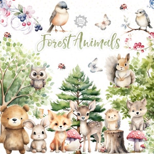Bosdieren aquarel clipart, bos dieren clipart schattige bosdieren, decor van de kinderkamer, bosrijke baby shower clipart, Bear Fox Owl