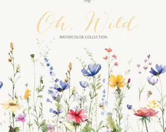Wild Floral Clipart,  Floral Watercolor Borders, Premade Clipart, Wedding Clipart, Floral Borders, Watercolor Clipart, Wild Flowers Art