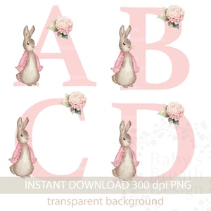 Flopsy Bunny Pink Floral Alphabet PNG, Pink Rabbit 26+2 einzelne Buchstaben Alphabet Clipart, Osterhasen Alphabet, sofortiger digitaler Download