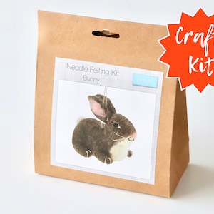Bertie Bunny Needle Felting Kit