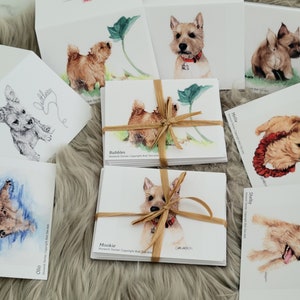 Norwich Terrier Grußkarten - Set von 7 Verschiedenen Gemälden In Premium Papier Qualität mit Umschlägen
