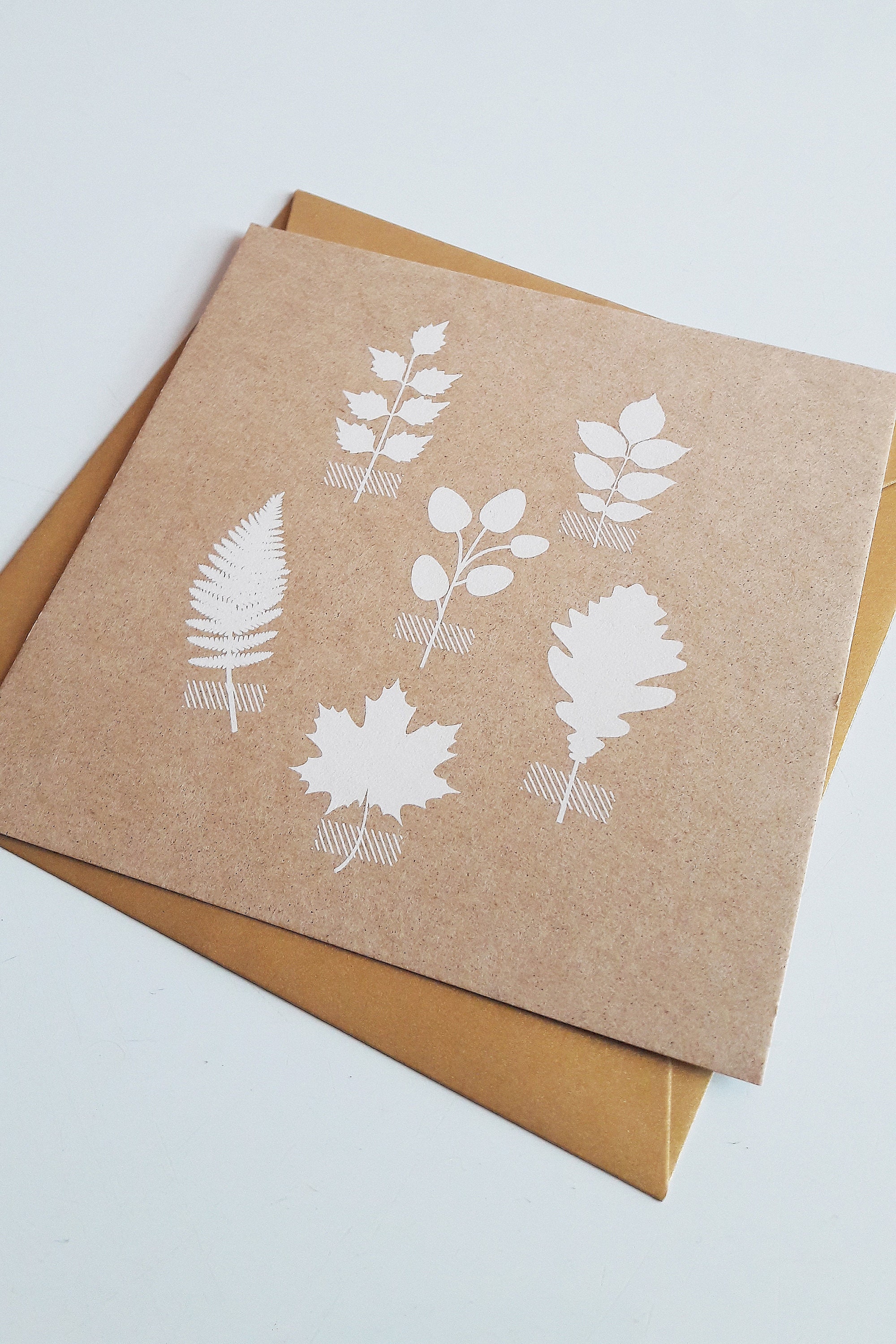 herbarium id card template free download herbarium id card template free download