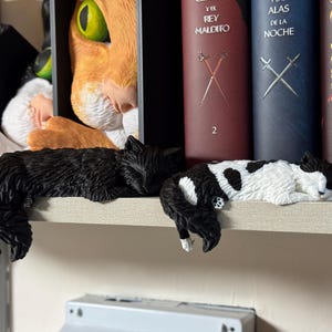 May include: Two small cat figurines resting on a shelf edge. One figurine is solid black with a textured fur appearance, while the other is white with black patches. Both cats are in a sleeping position with their tails hanging over the shelf edge.