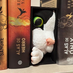 Curious Cat Book Nook –  Handpainted | Gift for Cat Lovers & Bookworms