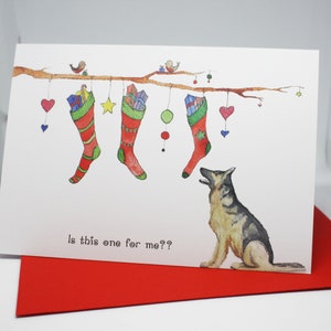 Carte de Noël de chien. Celui-ci est-il fait pour moi ? Berger allemand, alsacien.