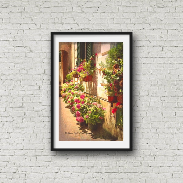 Ana Capri Italy,Italian Photography,Rustic Italian Print,Flower Photo,Pink Decor,European Wall Decor, Wall Art, Amalfi Coast, Villa Garden