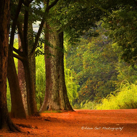 Paisaje de verano Campo MULTI LONA pared arte Foto impresión Verde
