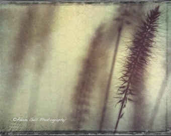 Nature photo,Summer theme, Abstract photography,Grass,  Wall Art, Wall Decor