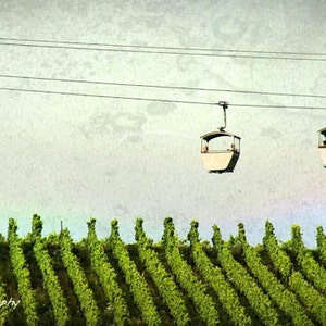 vineyards,Landscape Photography, Rhine region, Ski lift, Wall Art, Wall Decor,colorful