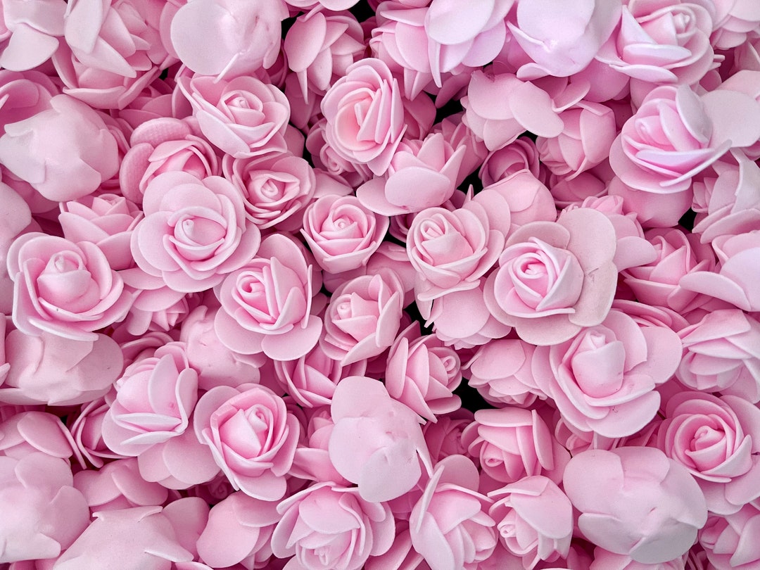 Light Pink Foam Roses 3cm Craft Flowers for Fillable Letters DIY ...