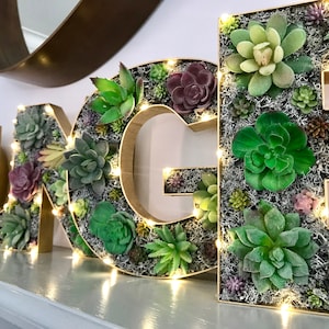 Succulent decor, Succulent personalised letter, Gift for Gardener, Alternative Father's Day present, Birthday gift for him