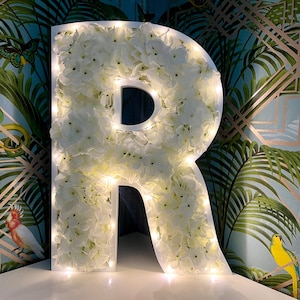 Centro de mesa con hortensias, decoración con hortensias, decoración de bodas con hortensias, letras con hortensias, hortensias blancas, iniciales florales para novios