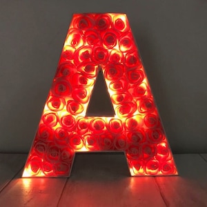 Light up letter, LED initial, Letter with lights, Children's bedroom decor, LED light up letter, Nursery light, Floral letter light image 1