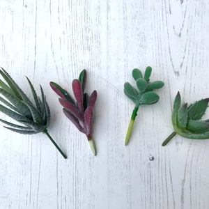 Artificial Succulents: Faux Plants for Terrarium or Fairy Garden
