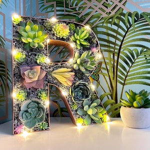 Unique Holiday Gift, Christmas Gift for Him, Home Gift, Christmas Gift for Her, Plant Lover Gift, Succulent Decorations