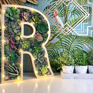 Letras rellenas de suculentas, iniciales de suculentas, decoración del hogar con suculentas, letras de madera de 50 cm, jardineras artificiales con suculentas
