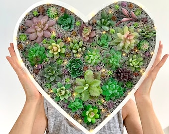 Giant Succulent Heart Decoration: Lighted Wooden Wall Art