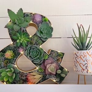 Succulent Ampersand Decor: Gold Painted Symbol with Artificial Succulents