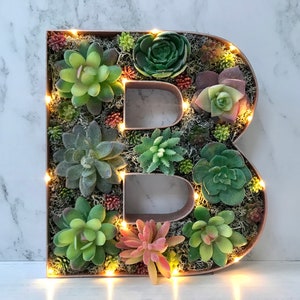 Plant Wall Art, Succulent Home Decor, Father's Day Gift, Personalised Dad's Gift