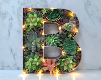 Plant Wall Art, Succulent Home Decor, Father's Day Gift, Personalised Dad's Gift