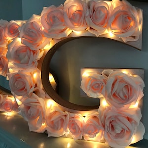 Giant Floral Initial: 50cm Light Up Rose Letter, Party Decor