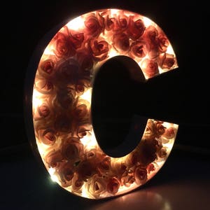 Light up gift for her, Light up marquee letter, Rose filled light up letter, Letter lights, Light up wedding decor, Marquee letter light image 3