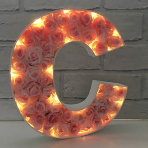 Light up gift for her, Light up marquee letter, Rose filled light up letter, Letter lights, Light up wedding decor, Marquee letter light image 5