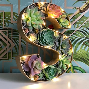 May include: A gold letter S decorated with succulents and small white lights. The letter is sitting on a white surface with a tropical patterned background.
