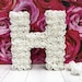 see more listings in the 9" Light Up Letters section