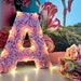 see more listings in the 9" Light Up Letters section