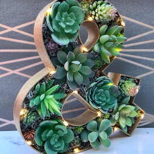 Personalised Succulent Gift, Succulent decor, Succulent ornament, Conservatory decor, Gift for friend image 4