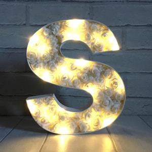 Light Up Letter S Decor: Rose Initial, Nursery Light