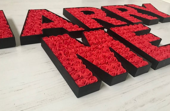 Will You Marry Me Sign: Rose Filled Proposal Prop With LED