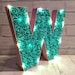 see more listings in the 9" Light Up Letters section