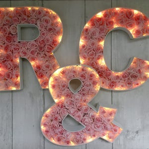 Light up gift for her, Light up marquee letter, Rose filled light up letter, Letter lights, Light up wedding decor, Marquee letter light image 1